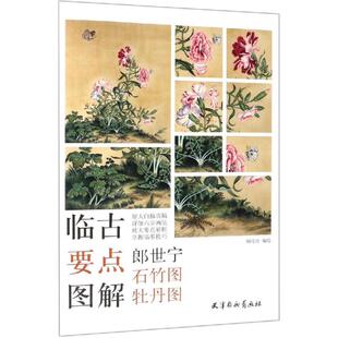 郎世宁石竹图.牡丹图