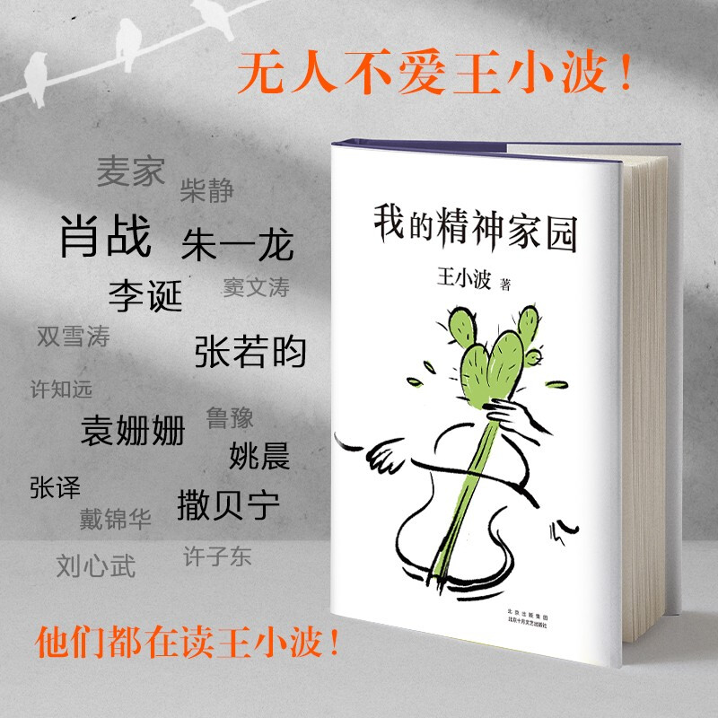 我的精神家园 王小波作品集 精装纪念版一只特立独行的猪沉默的大多数随笔散文集杂文精选集 现代文学畅销书籍