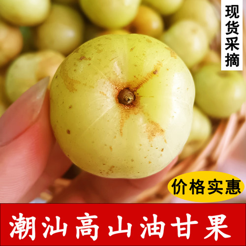 油甘果新鲜潮汕饼甜油甘水果榨汁