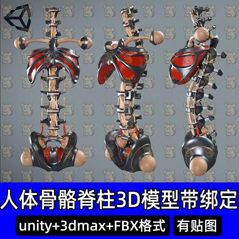 Blender unity人体骨骼脊柱骨盆关节3D模型带绑定FBX C4D 3DMAX