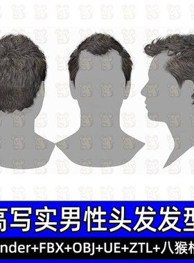 3DScanStore写实毛发男性插片发卡头发型3D模型blend fbx UE八猴