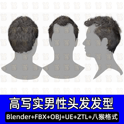 3DScanStore写实毛发男性插片发卡头发型3D模型blend fbx UE八猴
