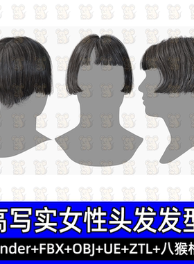 3DScanStore写实毛发女性插片发卡波波头短发3D模型blende fbx UE