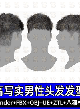 3DScanStore写实毛发男性插片发卡头发型3D模型blend fbx UE八猴