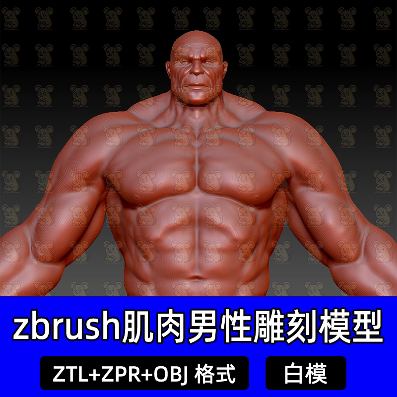 zbrush写实男性肌肉人物腹肌角色细分雕刻素体3D模型ztl格式obj