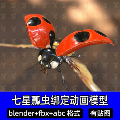 Bledner七星瓢虫花大姐瓢虫甲壳虫金龟昆虫带骨骼绑定有动画fbx