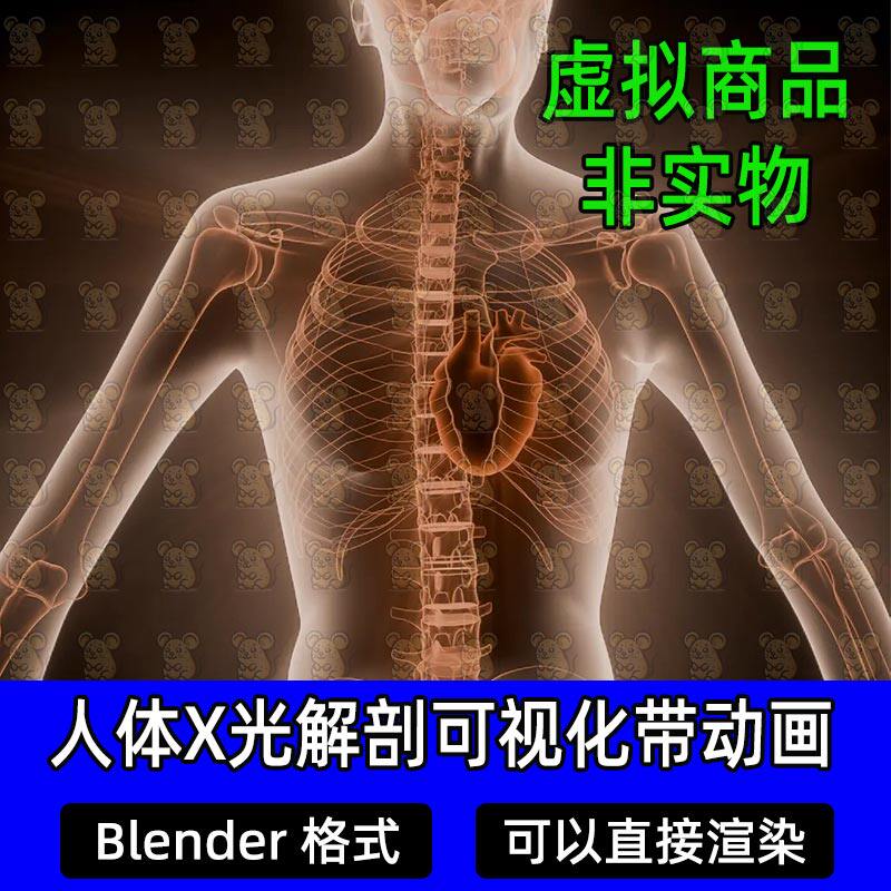 Blender人体全身X光骨骼骨架心脏跳动动画解剖医学可视化3D模型