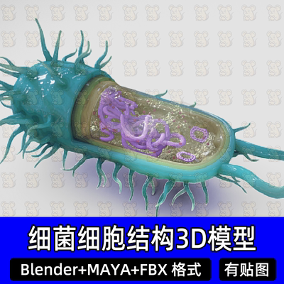 Blender MAYA细菌细胞结3d模型DHA细菌微生物细胞壁fbx c4d 3DMAX