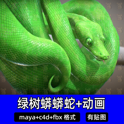 maya写实蟒蛇绿树蟒爬行动物带骨骼fbx素材缠绕木棍多个动画c4d