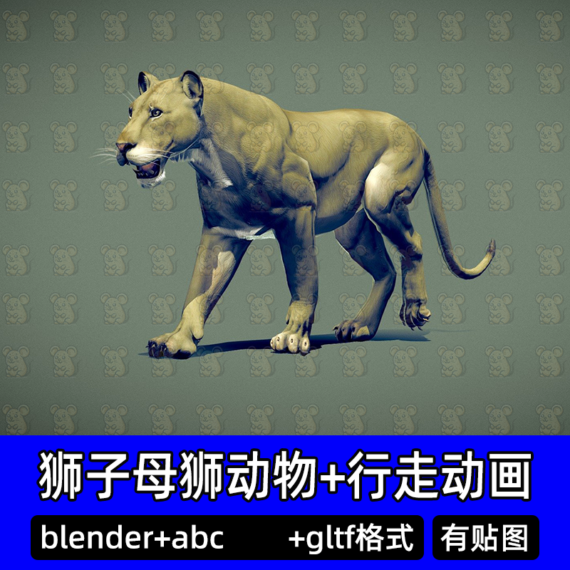 blender写实狮子母狮猫科动物带骨骼绑定动画3D模型abc行走动作