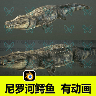 blender鱷魚爬行動物帶骨骼綁定動畫三維3D模型游泳爬行動作