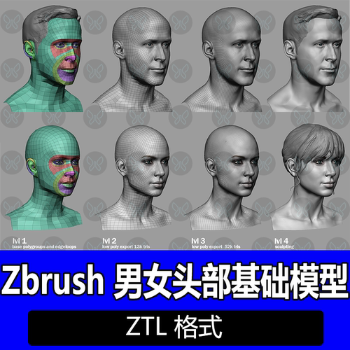 ZBrush男女头部模型基础模型源文件ztl源文件zb欧美人头练习头模