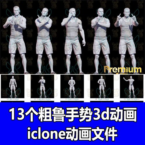iclone动画动作13个粗鲁手势竖中指做手势翻转手指3D动作动画