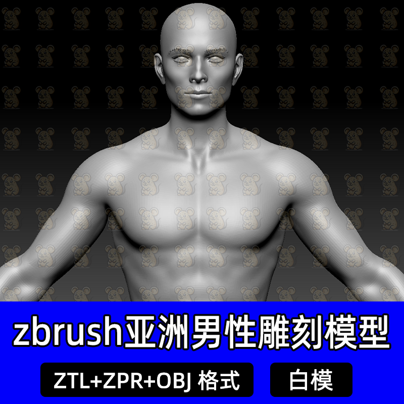 zbrush亚洲人男性头部脸部雕刻3D模型全身角色人物OBJ格式ztl素体