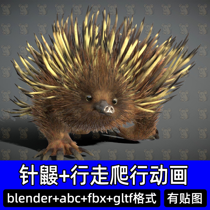 blender c4d针鼹爬行动物带骨骼绑定动画模型爬行行走动画abc fbx