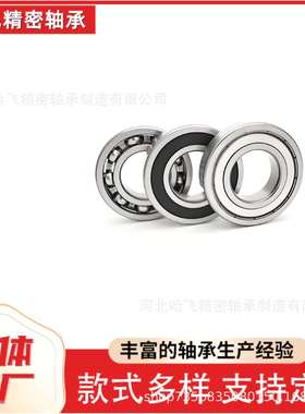哈飞精密60266028603060326034603660386040ZRSE厂家直销轴承