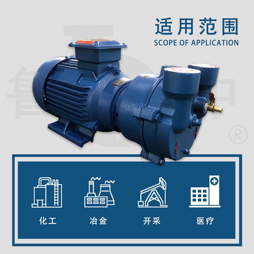2BV-2060系列油（液）环式真空泵 质量可靠欢迎订购淄博鲁中泵业