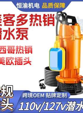 外贸110v美规QDX 潜水泵127v小型清水家用抽水泵墨西哥waterpump