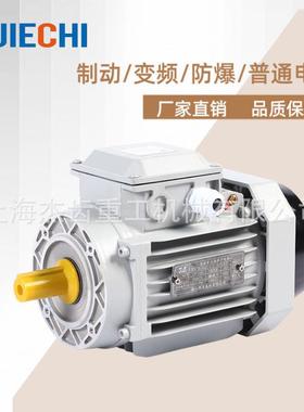 YVF2-200L2-6三相异步电机功率three phases asynchronous motor