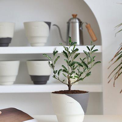 北欧简约陶瓷花盆敞口桌面兰花混土黑土海芋蕨类绿植盆栽盆器套盆