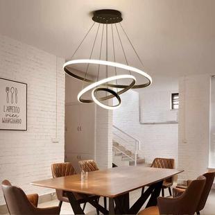 轻奢环形艺术网红灯北欧灯具 餐厅吊灯现代简约家用餐桌灯创意个性