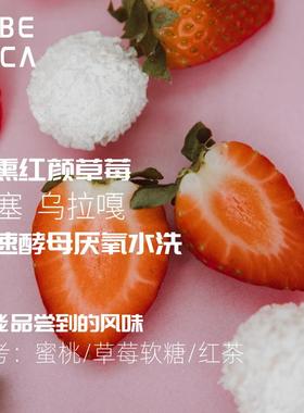 LIBERICA利比卡 埃塞俄比亚慢速酵母厌氧水洗桃熏草莓红颜SOE意式