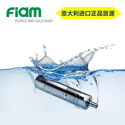 进口FIAM食品级不锈钢IP67防水认证齿轮气动马达耐腐蚀防粉尘防潮