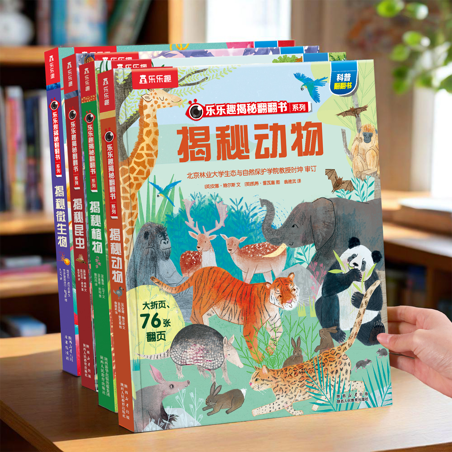 揭秘动物翻翻绘本乐乐趣