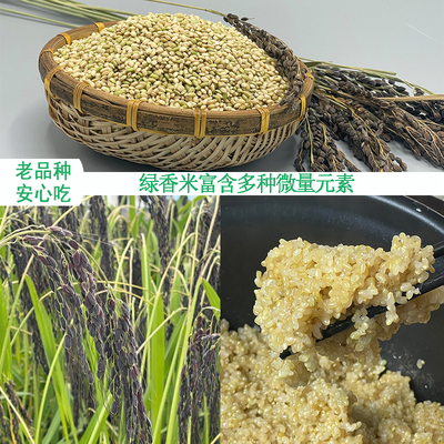 25年新米贵州老品种肝米绿香米