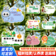 植树节挂牌树木认养悬挂牌标示牌爱护绿化悬挂树牌学校班级定制和小树一起成长植物名字标牌创意果树纪念牌
