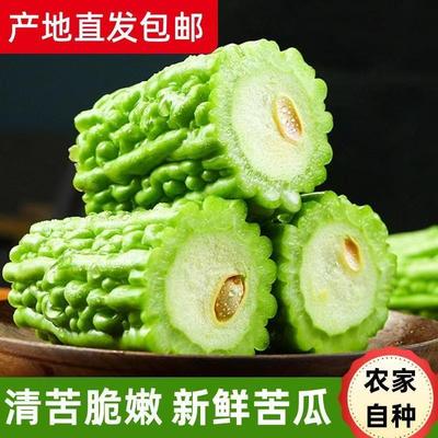 新鲜苦瓜5斤农家自种凉瓜