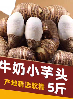 山东牛奶芋头新鲜现挖小毛软糯香滑农产品芋艿新鲜蔬菜竽头小香芋