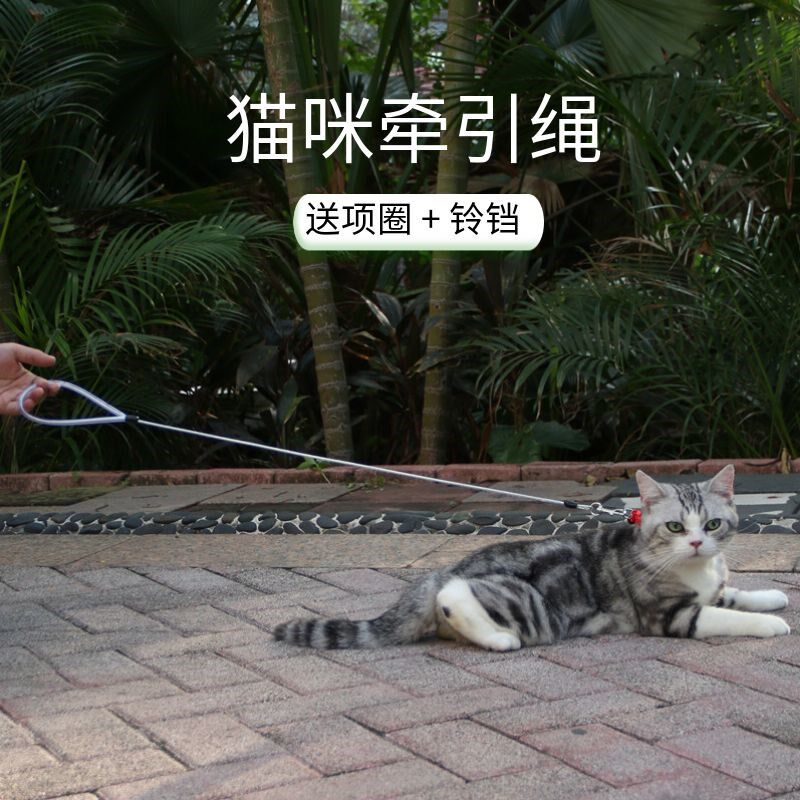 速发防咬小型犬遛狗绳幼犬2斤斤猫绳兔绳博美小体犬牵狗绳
