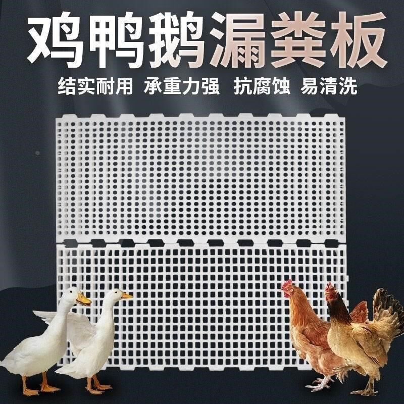 速发。鸡笼垫网漏粪板鸡鸭养鸽禽类清粪地板养殖鹅板鸭加厚塑料网