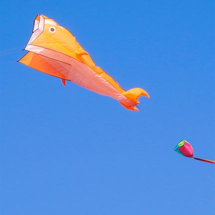 速发2舞风筝飞024年新款大人成人专用体风易飞立微软体海豚风筝长