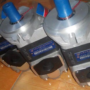 AT石 车4.5 速发合肥液压合力5吨叉F起升双联齿轮油泵HYA