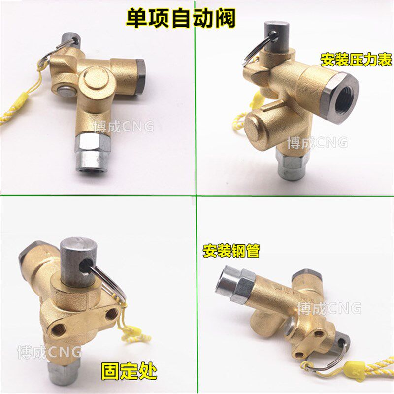 现货速发cg充新款捷达桑坦纳充加汽车气自动加气嘴