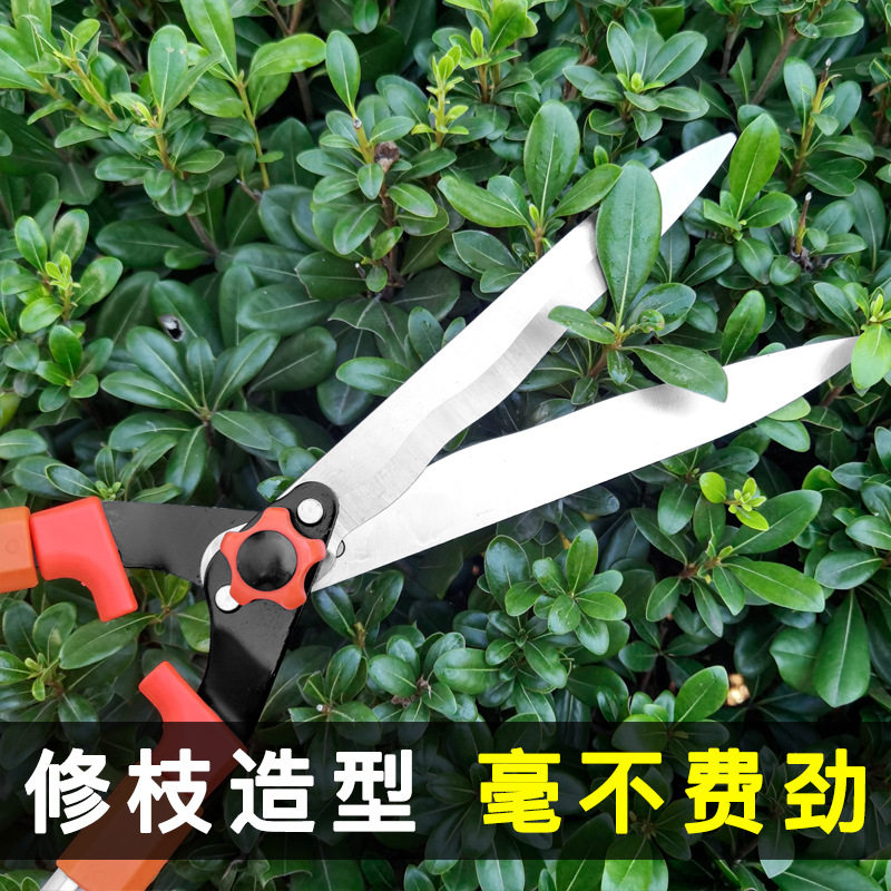 现货速发园林工具草坪剪绿篱剪伸缩园艺大剪刀修枝剪花剪绿化剪刀
