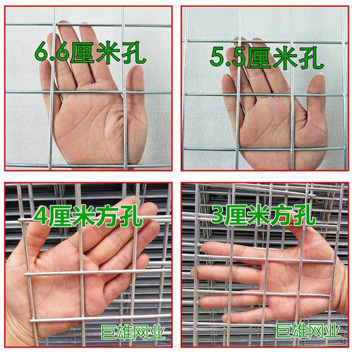 现货速发加粗镀锌铁丝网片电焊网片建筑防护网货架隔离养殖网围栏