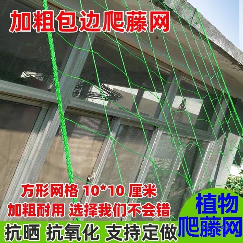现货速发园艺植物爬藤网攀爬种植搭架丝瓜百香果豆角藤蔓花卉网农