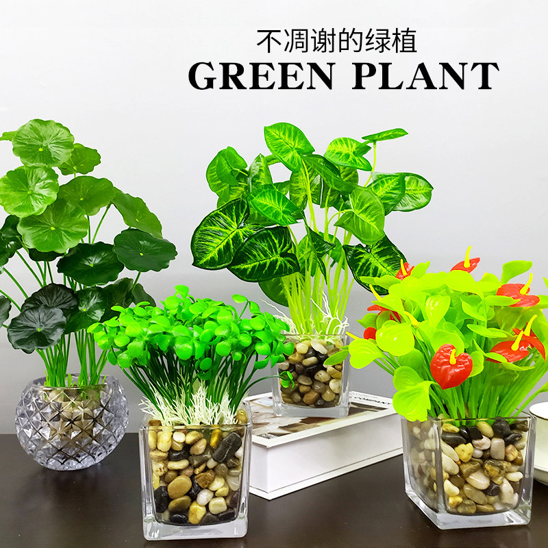 现货速发植物假玻璃摆件客厅办公室桌面小盆栽室内装饰花多肉家居