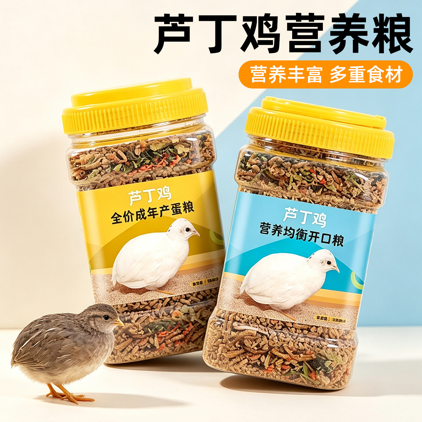 芦丁鸡饲料育雏专用小鸡