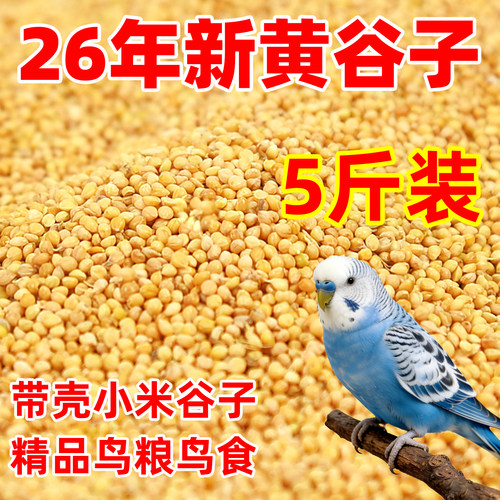 鹦鹉饲料鸟粮新黄谷子带壳小米