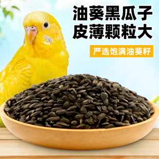 鹦鹉油葵黑瓜子鹦鹉零食虎皮玄凤训练奖励小瓜子宠物鸟饲料粮食