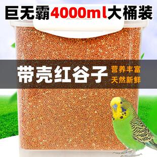 鹦鹉粮食红谷子带壳红谷子增亮毛色饱满鸟食鸟粮虎皮鹦鹉珍珠鸟粮