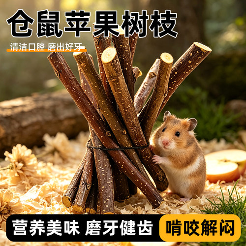 仓鼠磨牙苹果枝磨牙棒苹果木