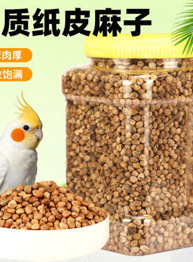 鹦鹉麻子火麻仁火麻籽