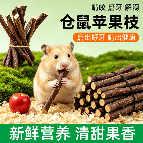 金丝熊磨牙零食苹果树枝仓鼠