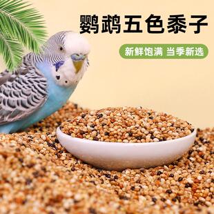 冠之亚鹦鹉鸟粮饲料五色黍子牡丹虎皮鸟食带壳谷子精品粮食