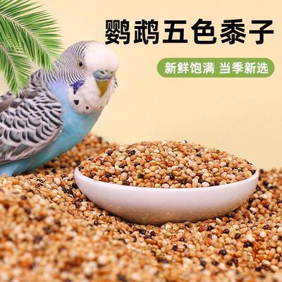 鹦鹉鸟粮饲料五色黍子